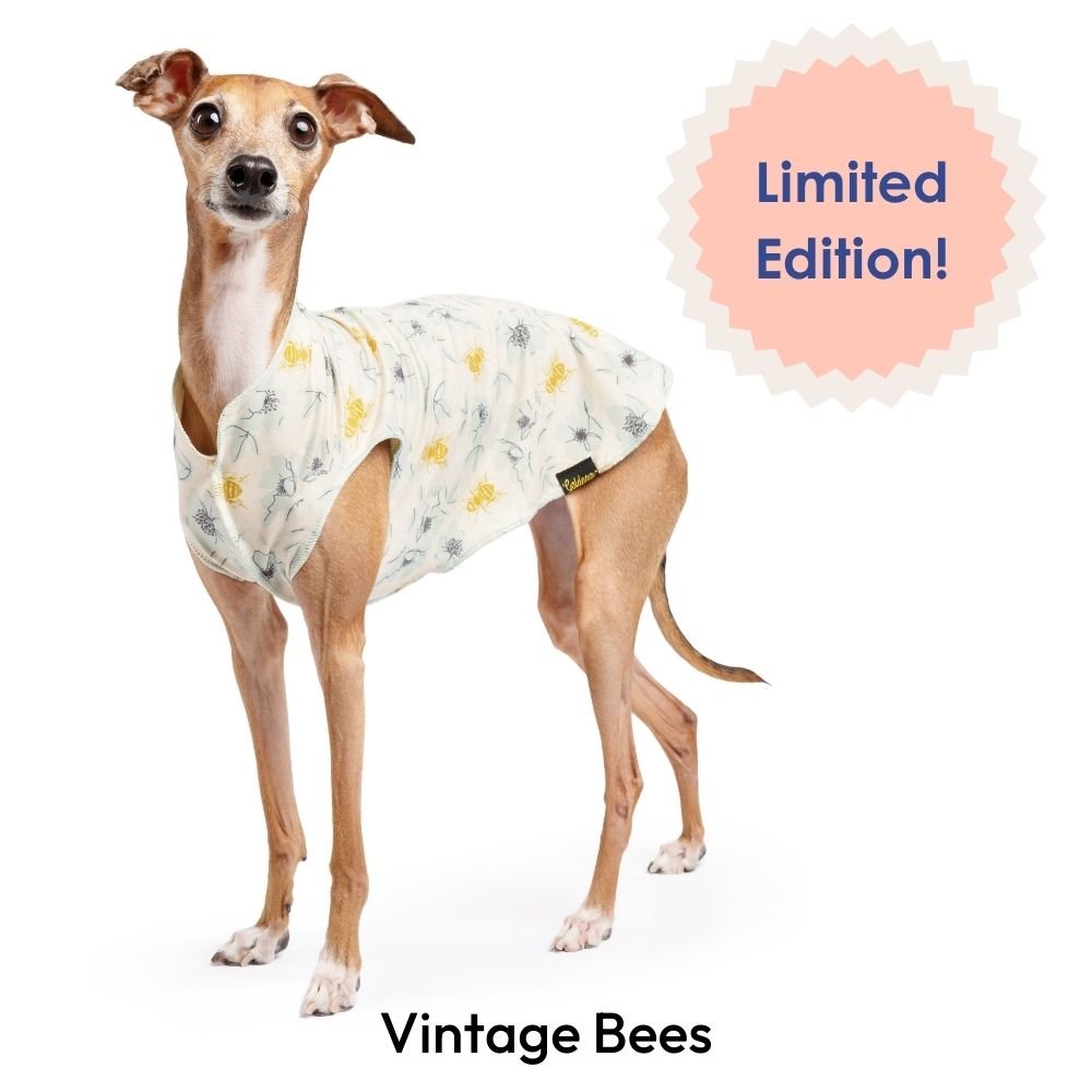 Gold Paw Sun Shield 防曬降溫彈性背心