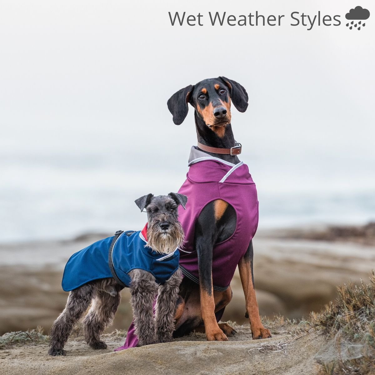 Gold Paw Rain Paw II 二代雨衣