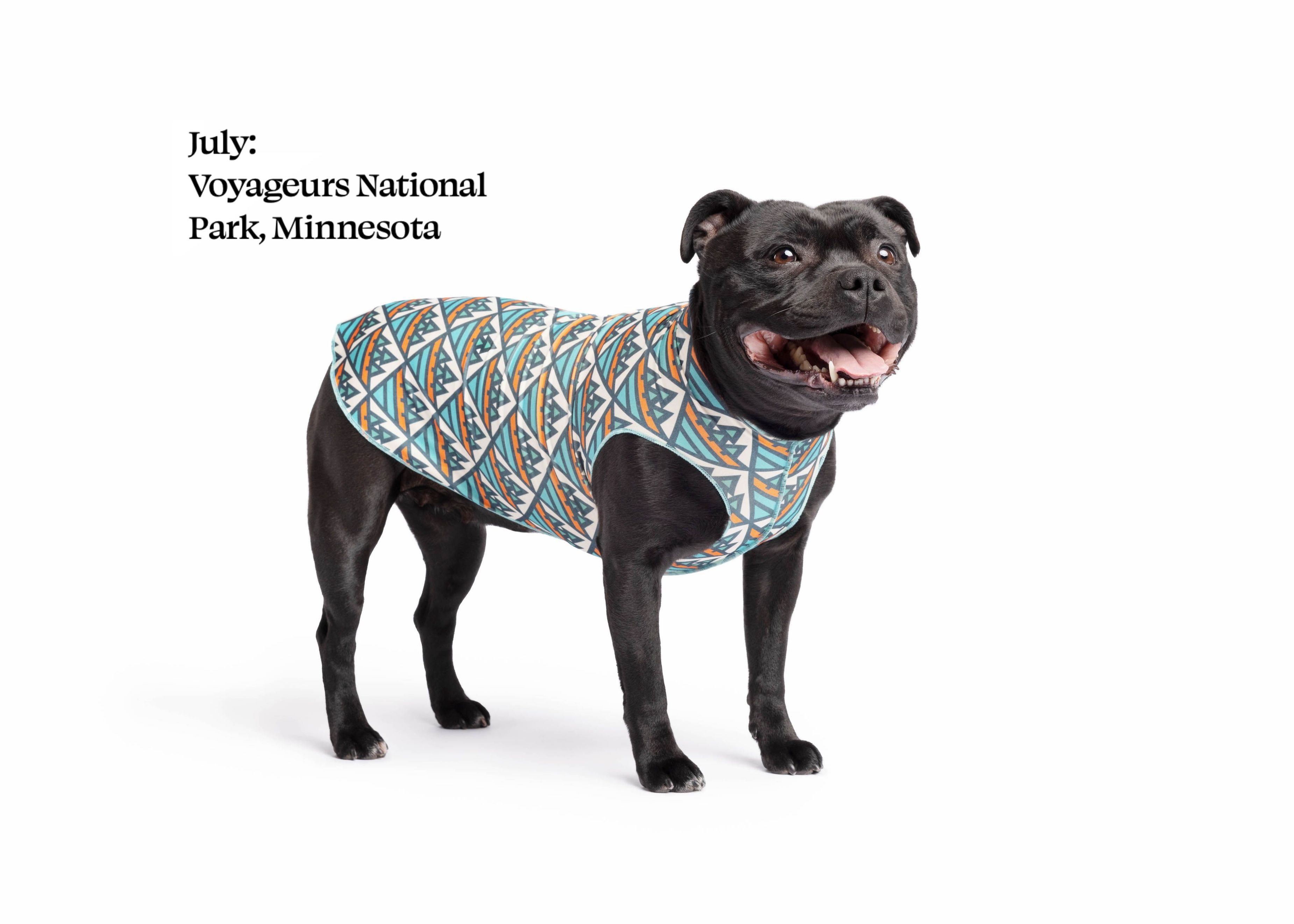 Gold Paw Sun Shield 防曬降溫彈性背心