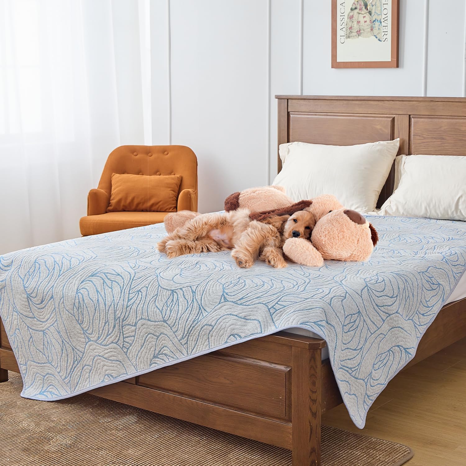 Qeils Washable Pee Pads 可機洗尿布墊/保潔墊/吸水墊