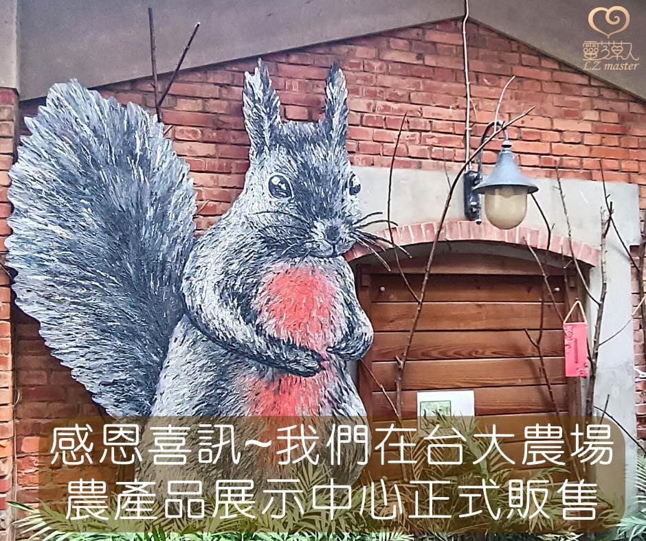 #靈芝漫遊 EP3 台灣大學的青春 (內含喜訊)