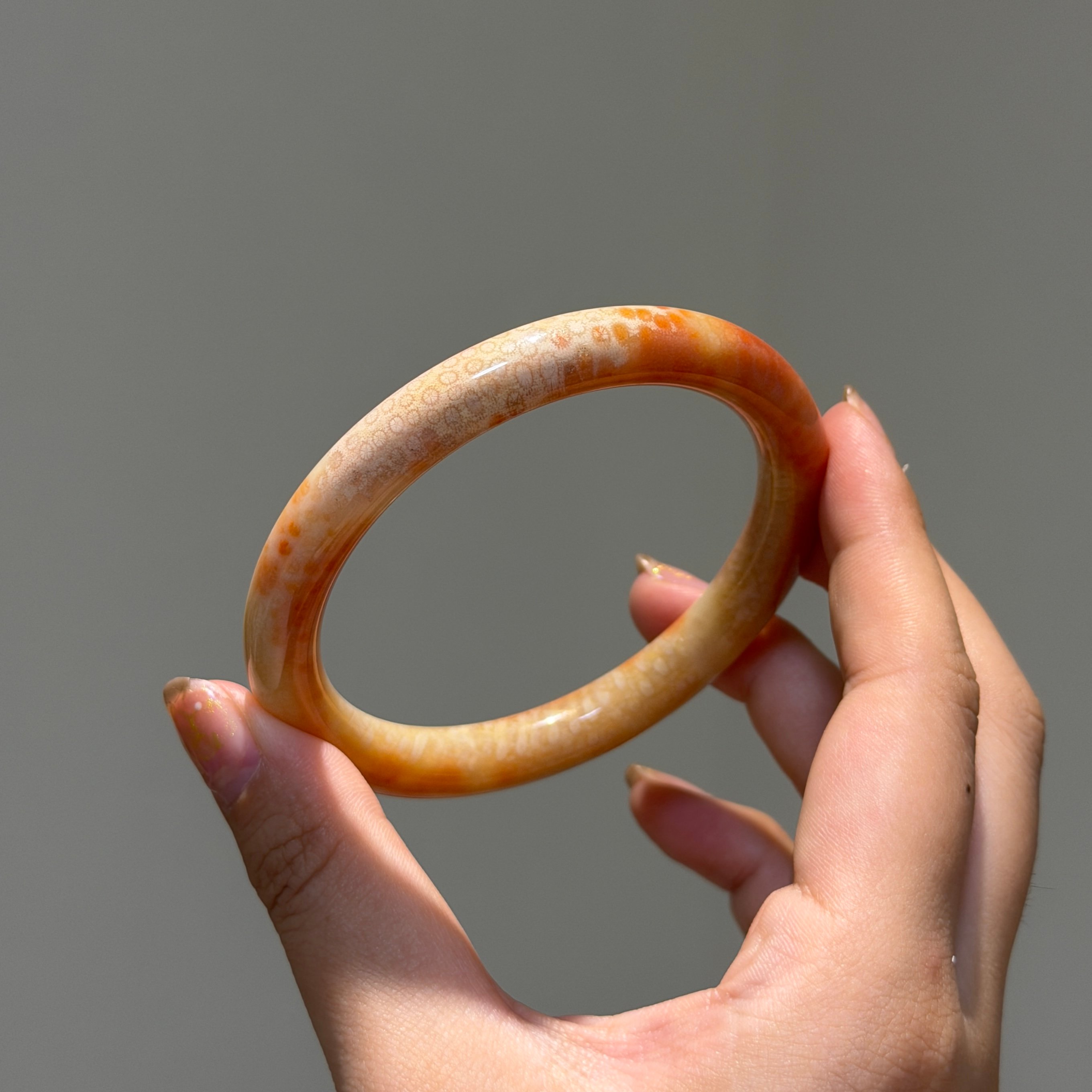 珊瑚玉圓條61