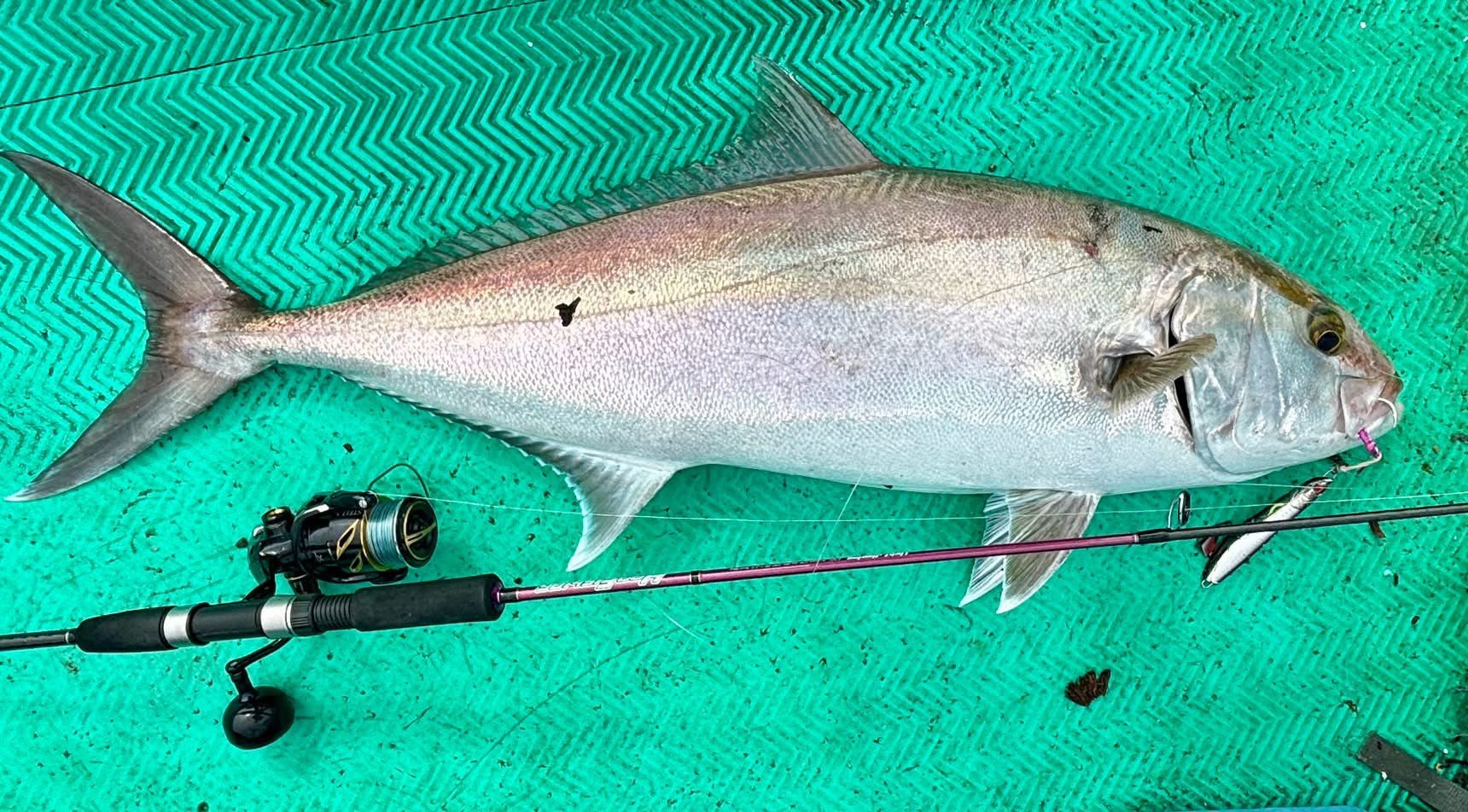 HooFishing 鐵板竿 紫竿light jigging MAX200g