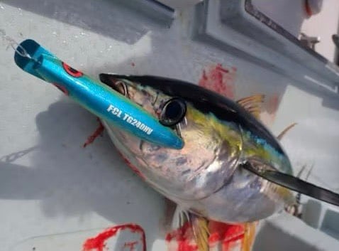 日本FCLLABO TG MINNOW TG240HV/TG240 浮水米諾