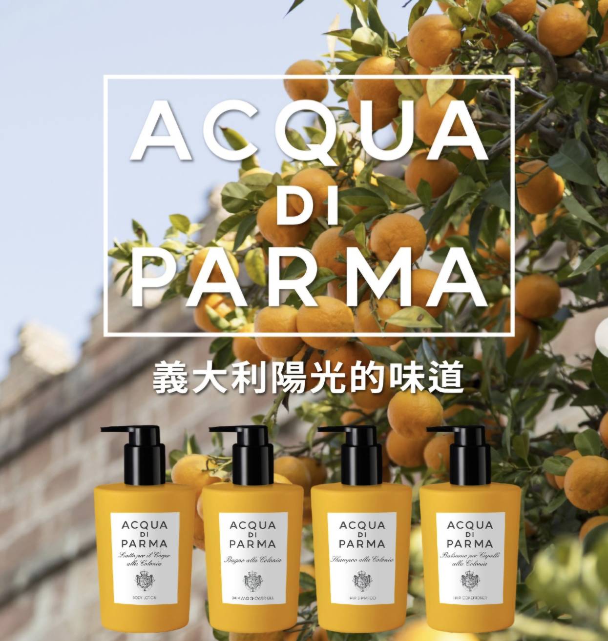 義大利🇮🇹Acqua di Parma帕爾瑪之水克羅尼亞洗浴品系列300ml