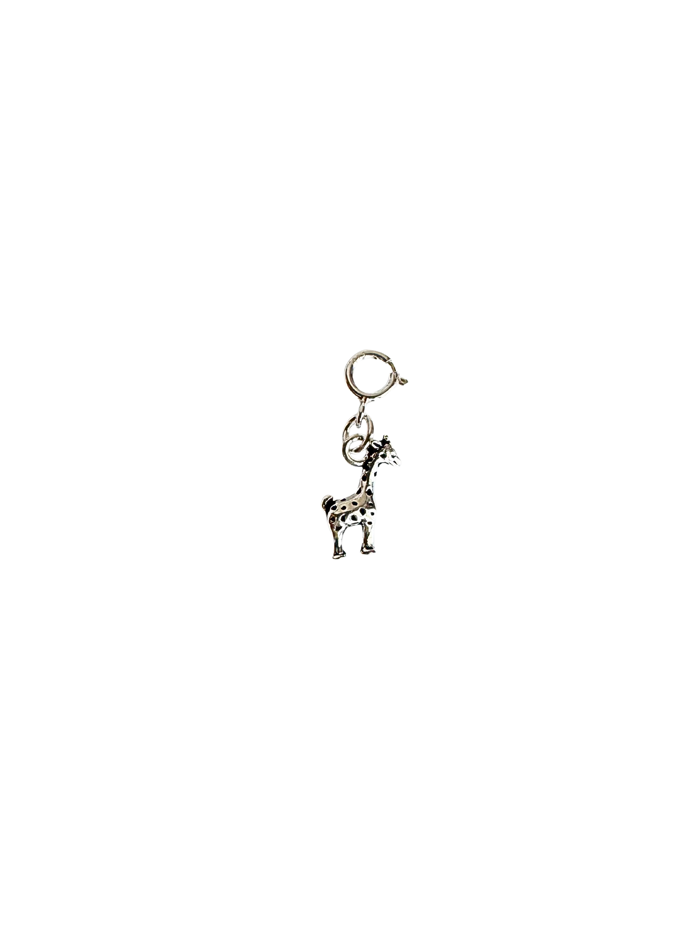 Longview｜小遠望