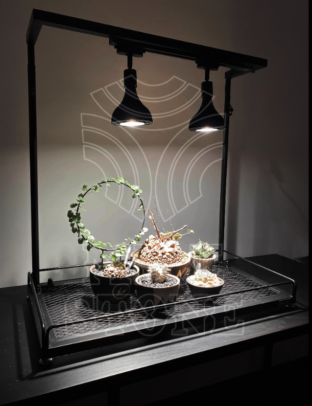 PlantMilestone 單層植物架   有水盤款/無水盤款