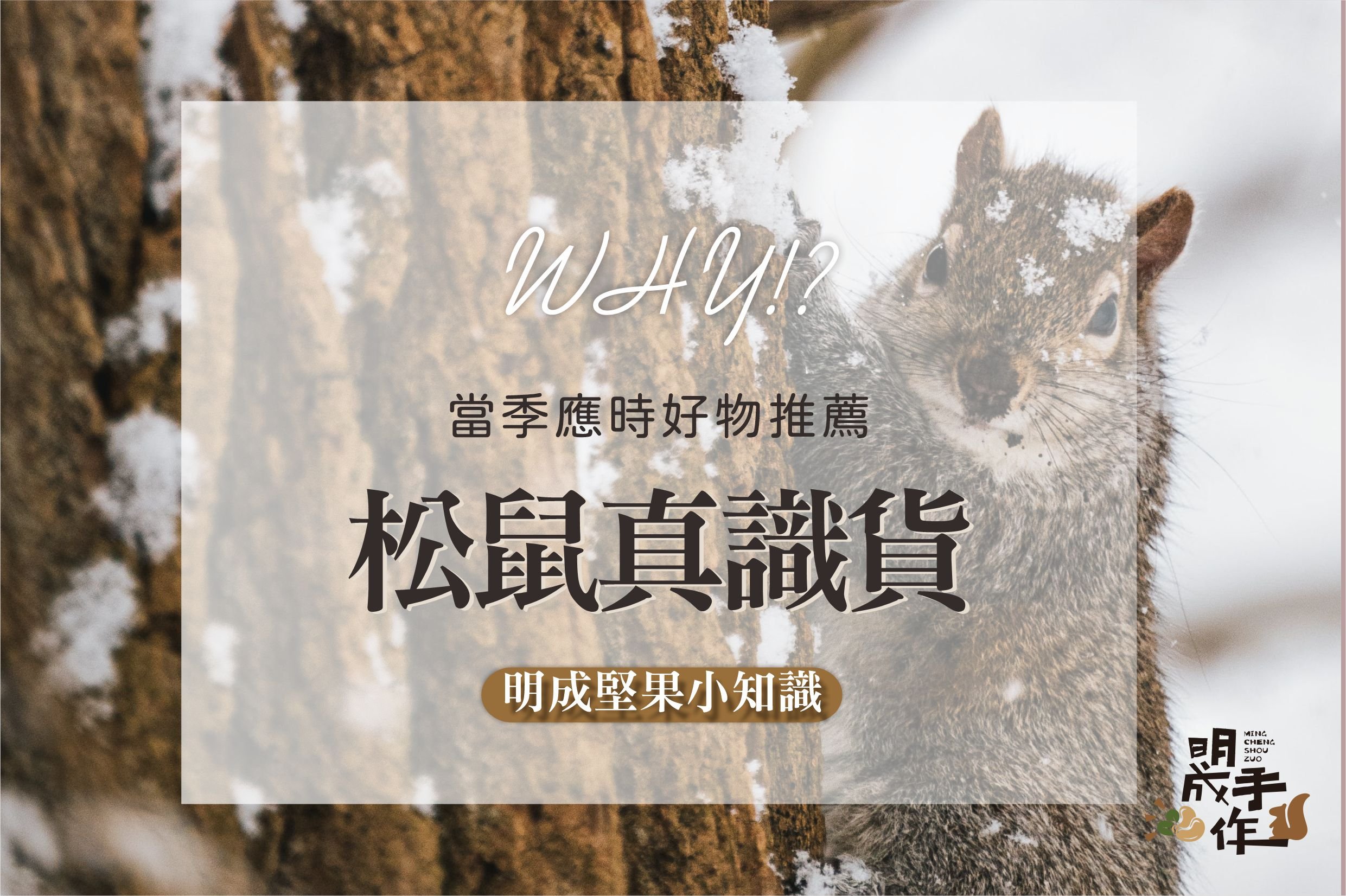 松鼠真識貨!!!堅果秋冬應時當季好食