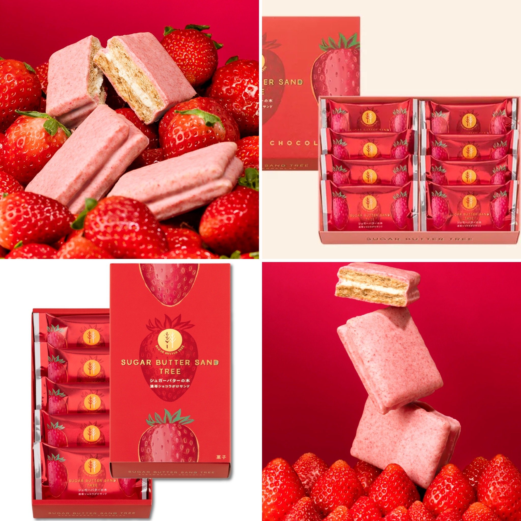 預購-砂糖奶油樹Sugar Butter Tree⭐️