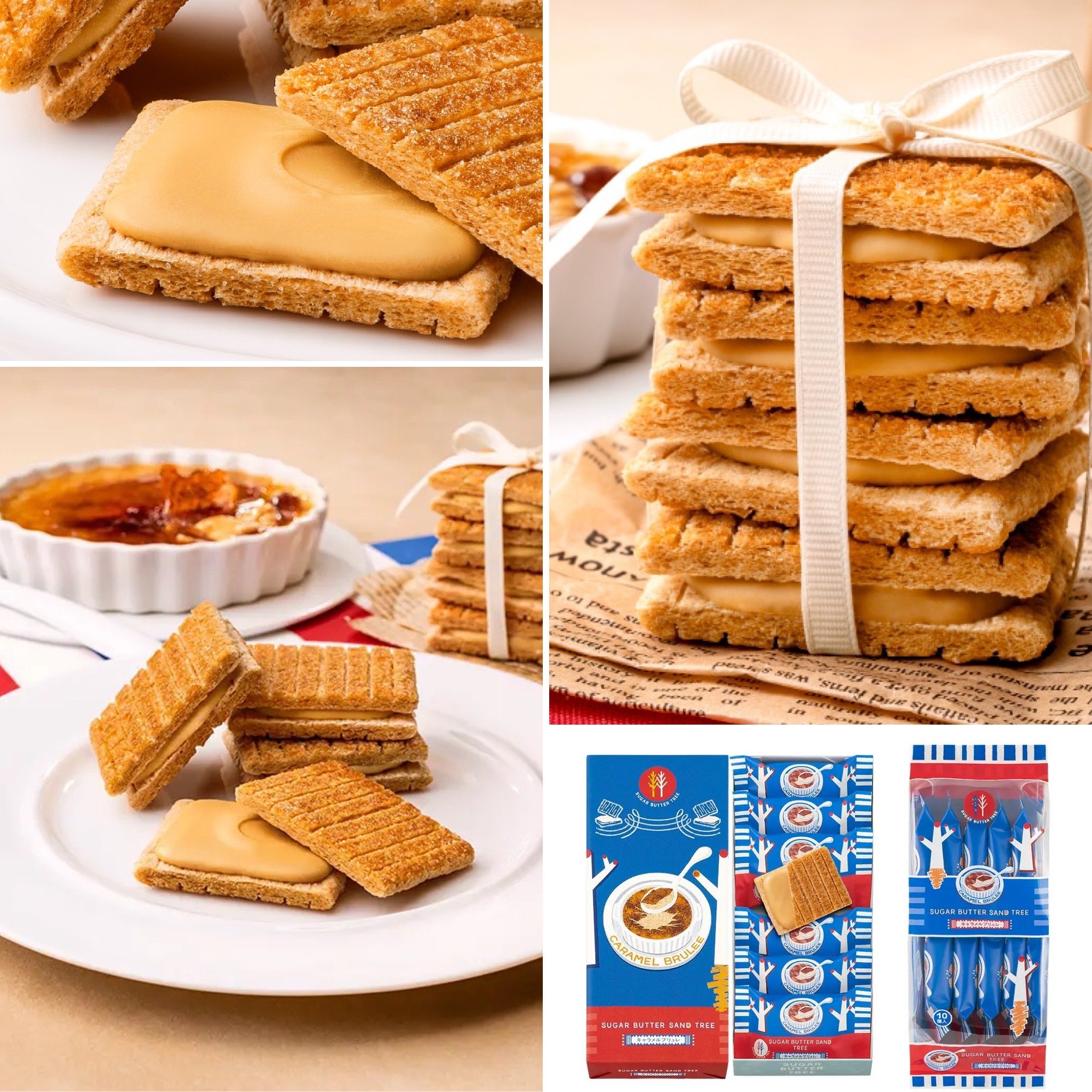 預購-砂糖奶油樹Sugar Butter Tree⭐️