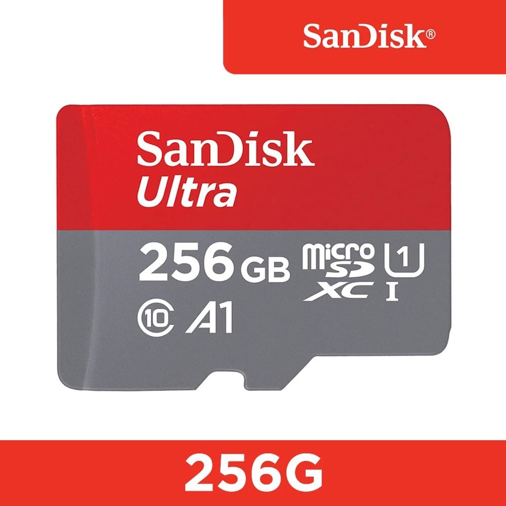 SanDisk 256G 記憶卡