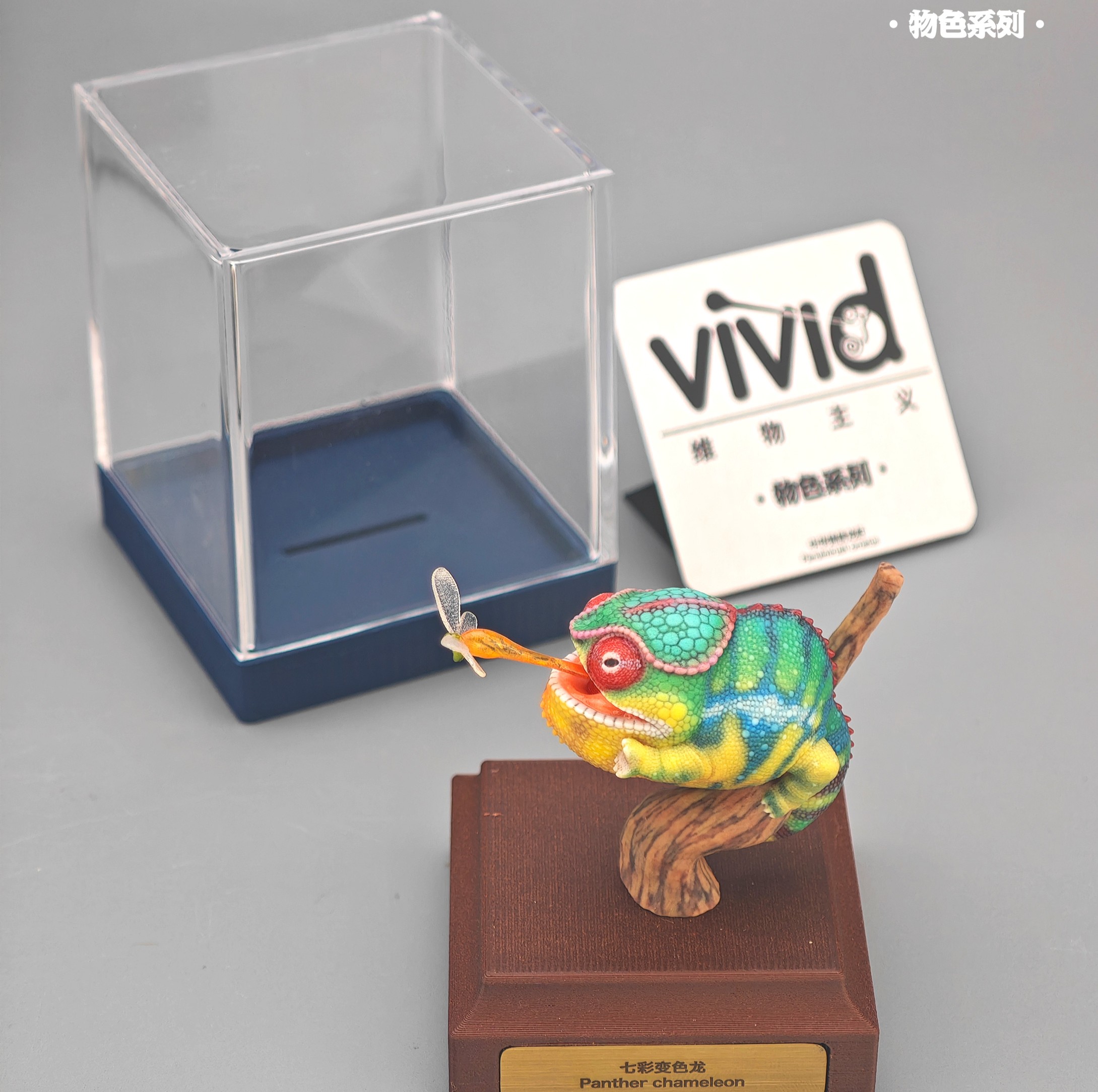【預購】原色七彩變色龍 X vivid維物主義