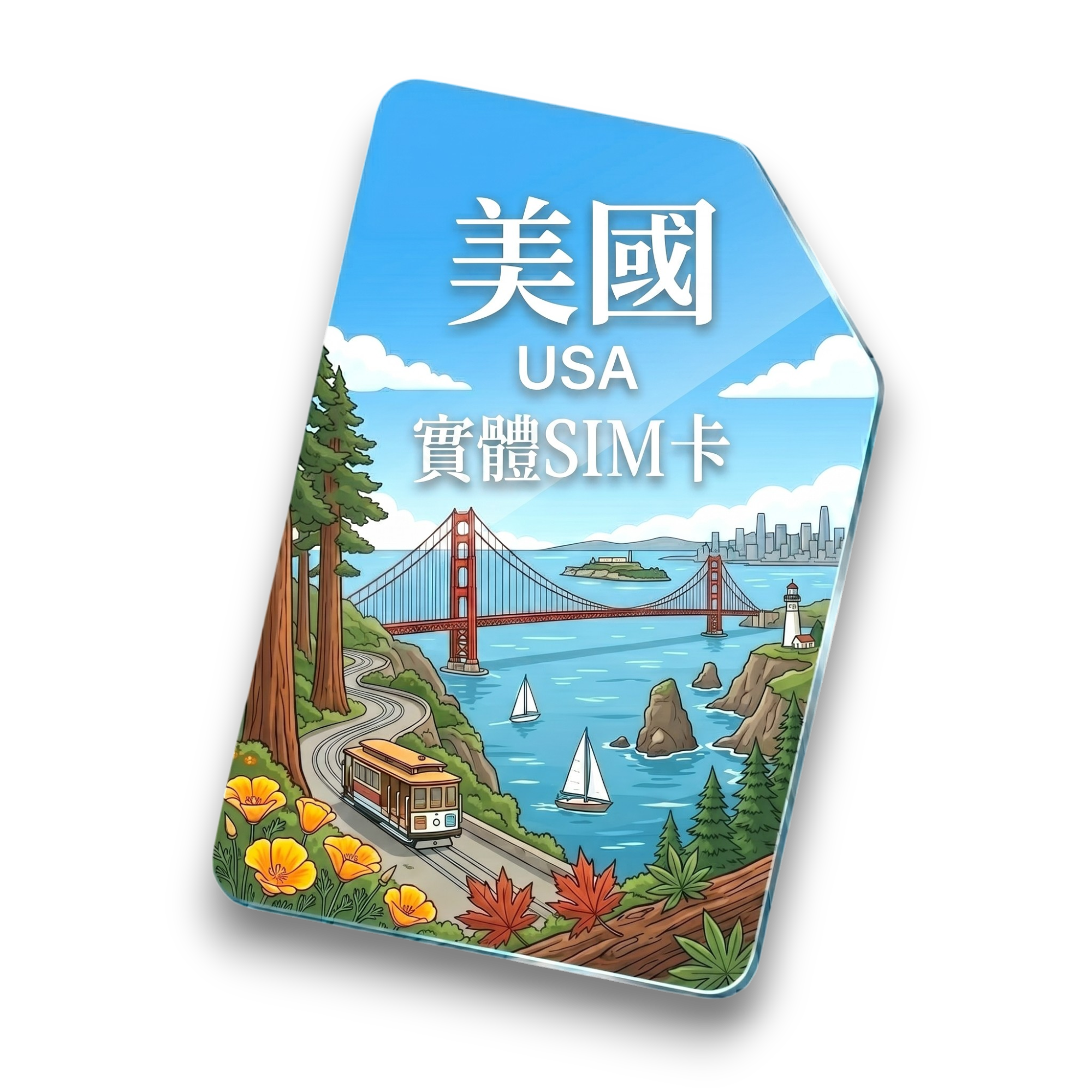 【美國】實體 SIM 卡