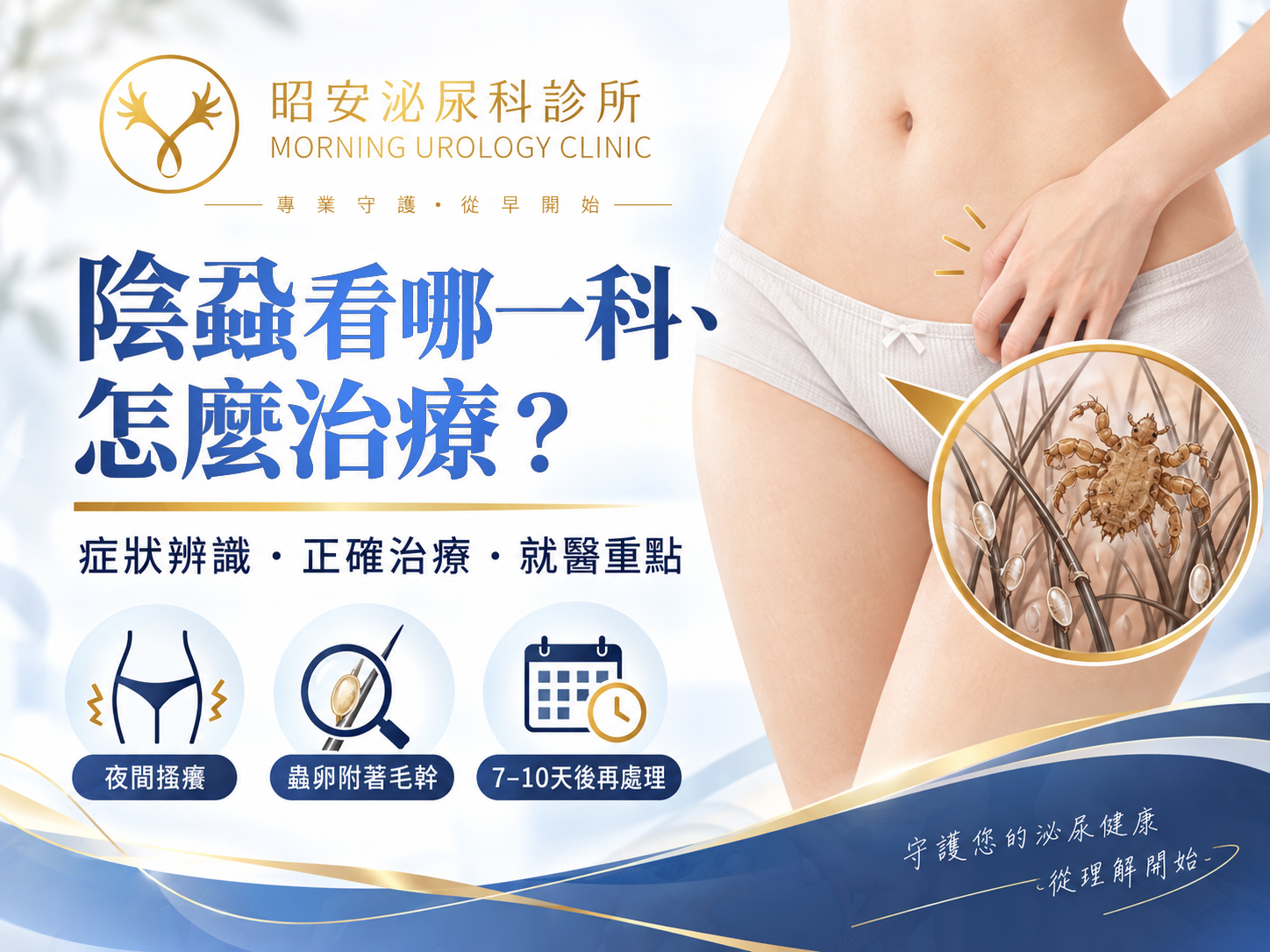 陰蝨看哪一科、怎麼治療？台灣有藥證的藥，和國際指引寫的並不一樣｜台中昭安泌尿科