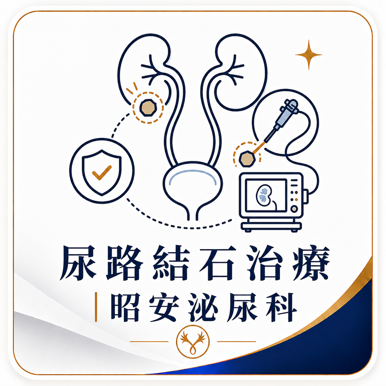 尿路結石治療｜昭安泌尿科