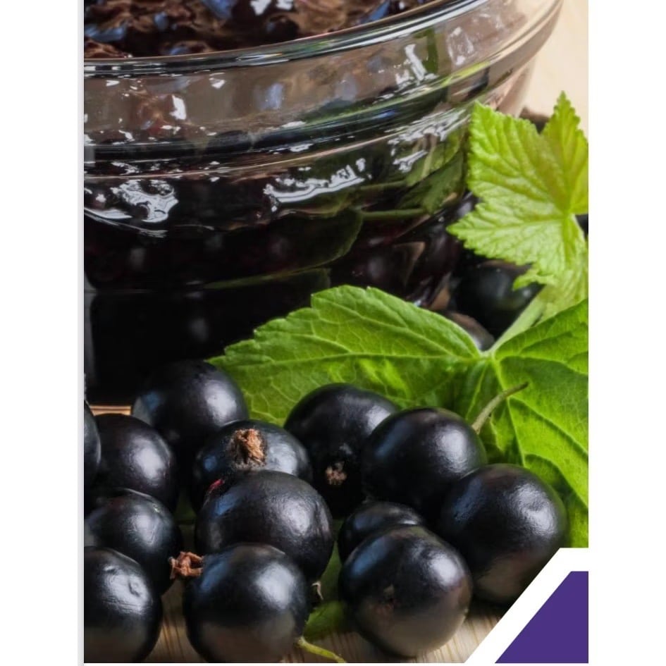 兩包晶萃優葉黃素共60顆 -滿月贈