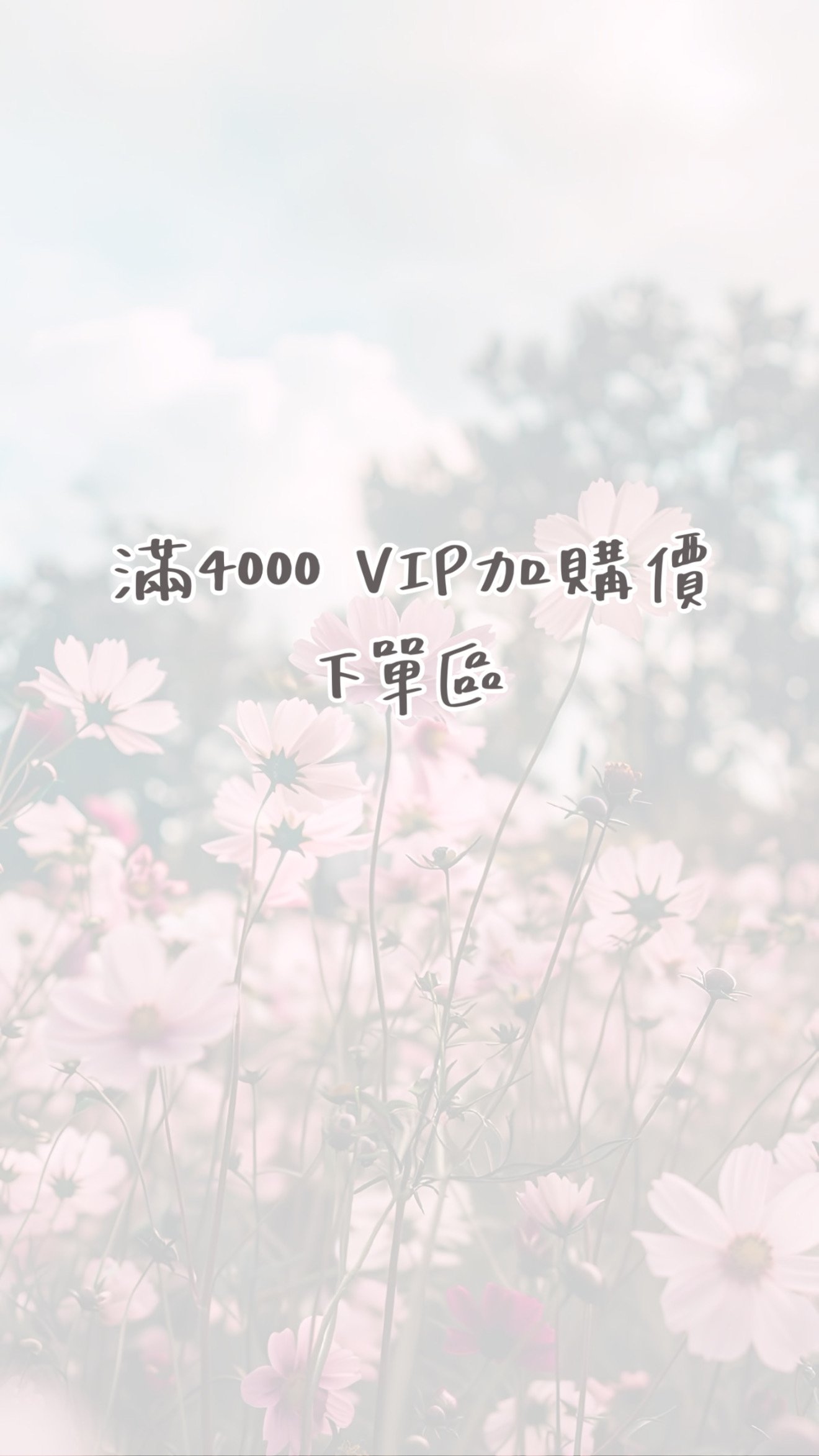 滿4000 VIP下單區