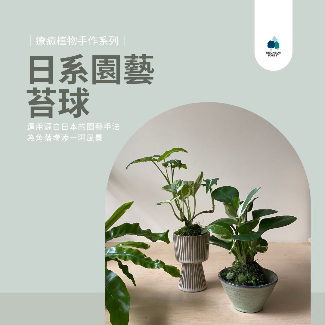 線上課程材料包｜日系園藝苔球