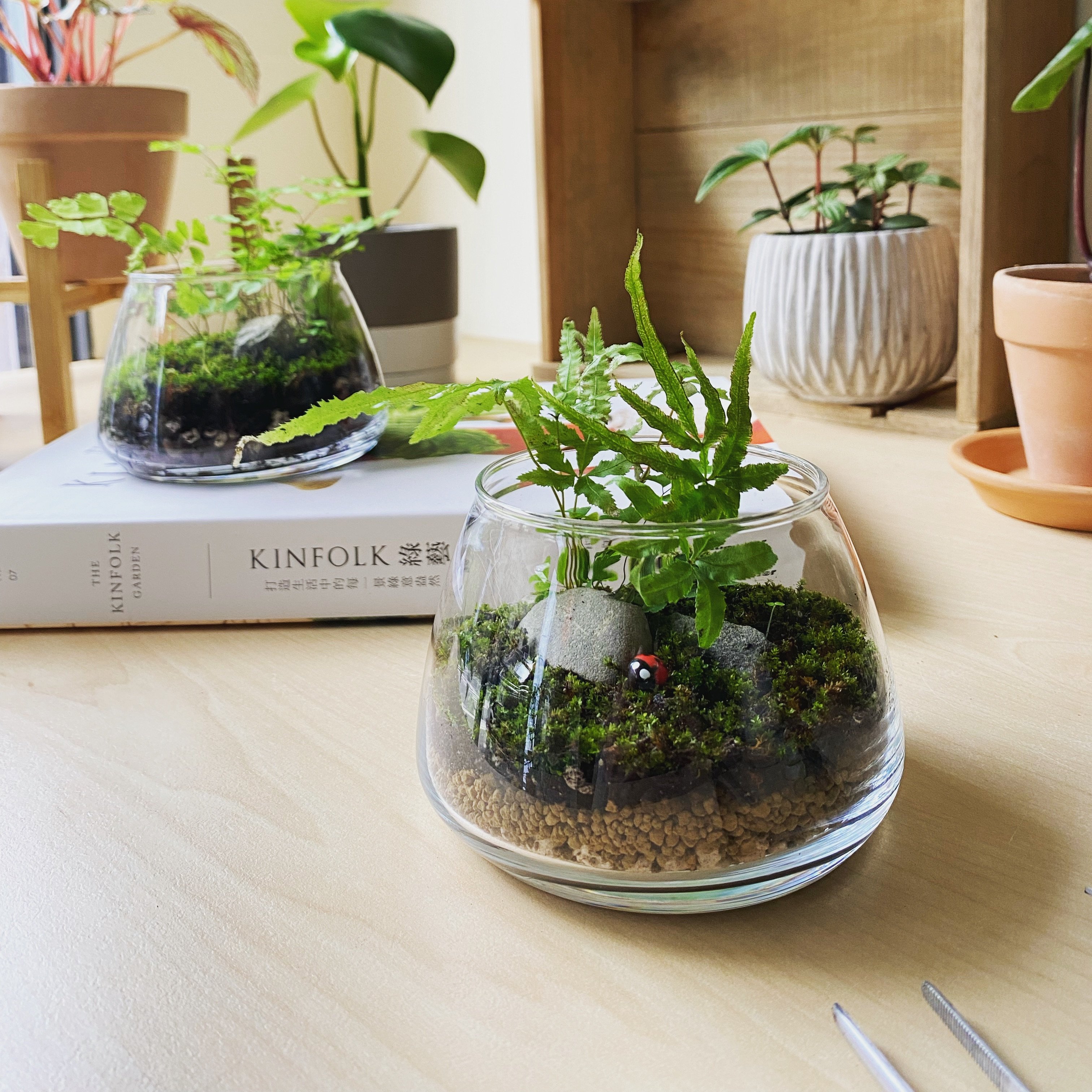 企業課程｜開放式微地景生態瓶