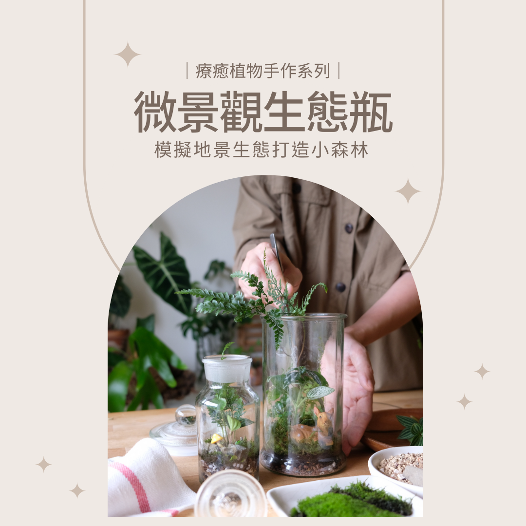 線上課程材料包｜微景觀密閉式生態瓶