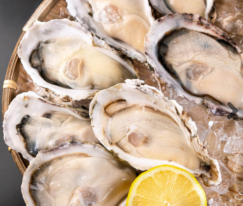 日本兵庫生食級全殼生蠔(整箱)