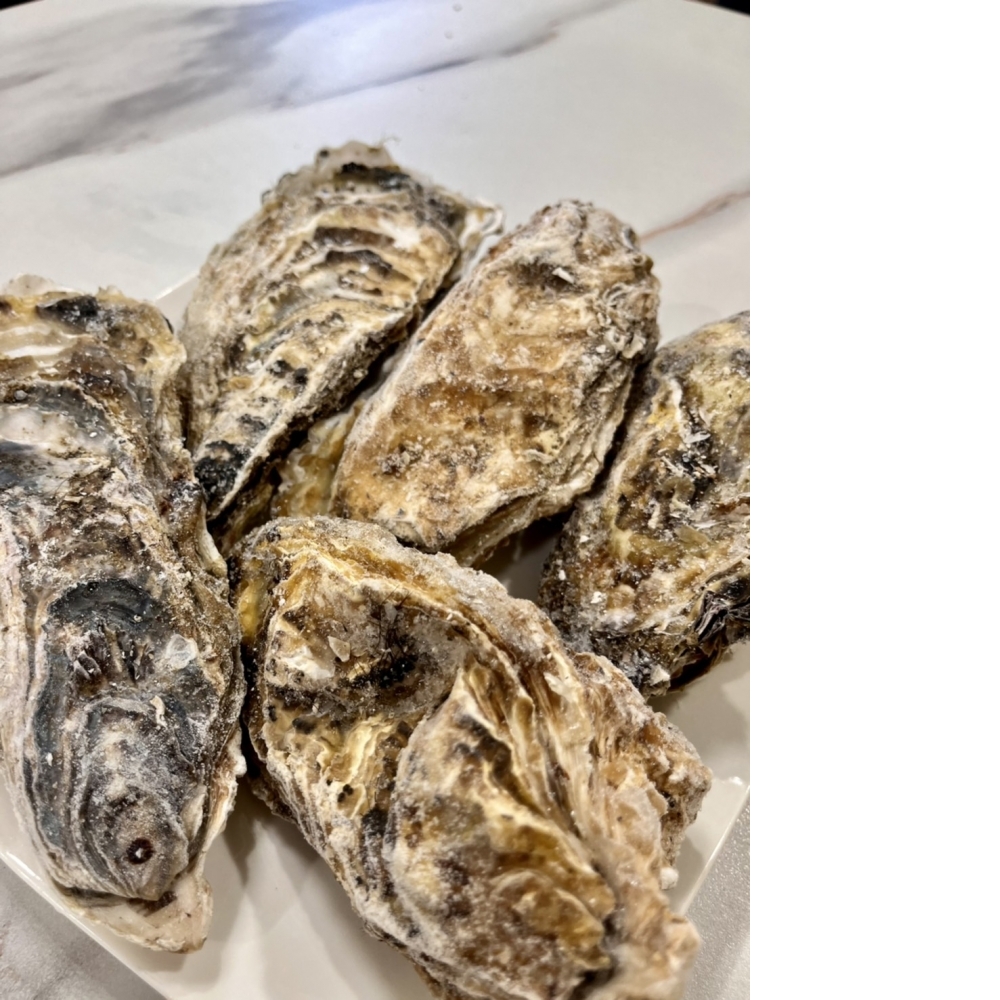 日本生食級生蠔