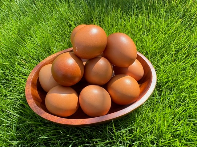 赤玉蛋｜簡單的，是最動人的