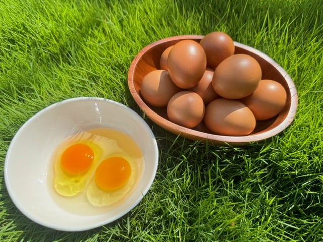 雞油｜純淨提煉，讓料理回歸本質的香氣