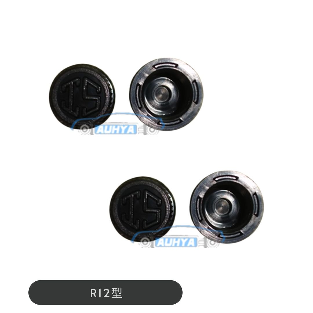 通用型 冷媒管氣嘴蓋 汽車空調高低壓密封帽蓋 R134a R12 帽蓋 壓縮機蓋 高低壓氣門嘴蓋 氣門芯蓋(1個)