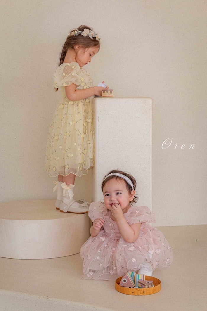 如詩如畫！刺繡玫瑰公主包屁紗裙/洋裝(2color)