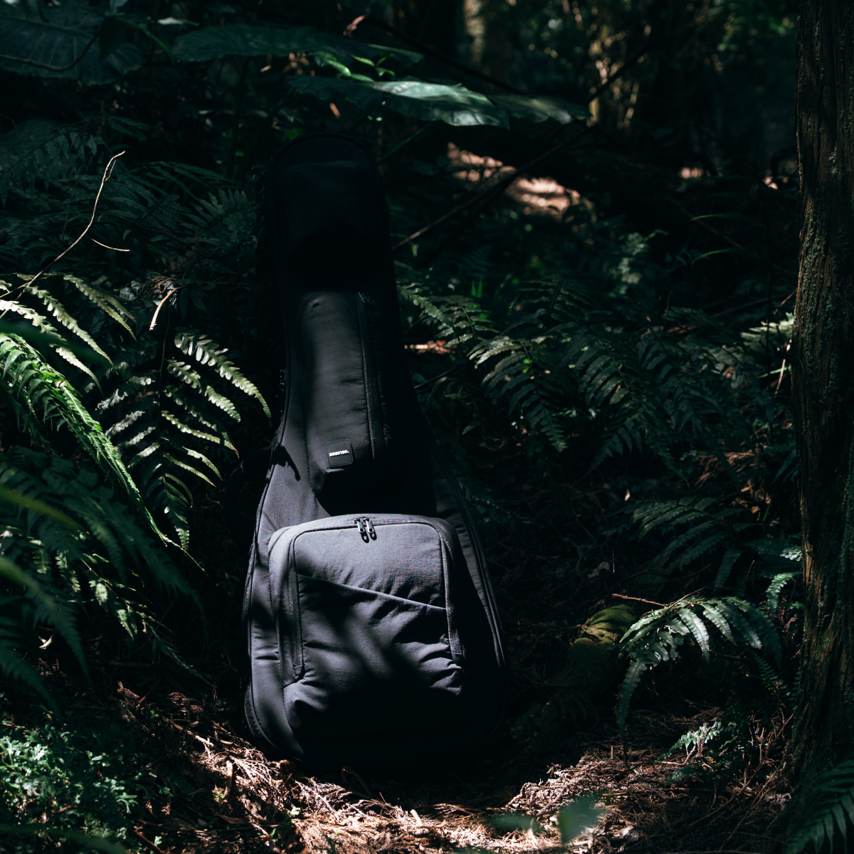 ACME EB 電貝斯袋RipStop系列-Basalt Black