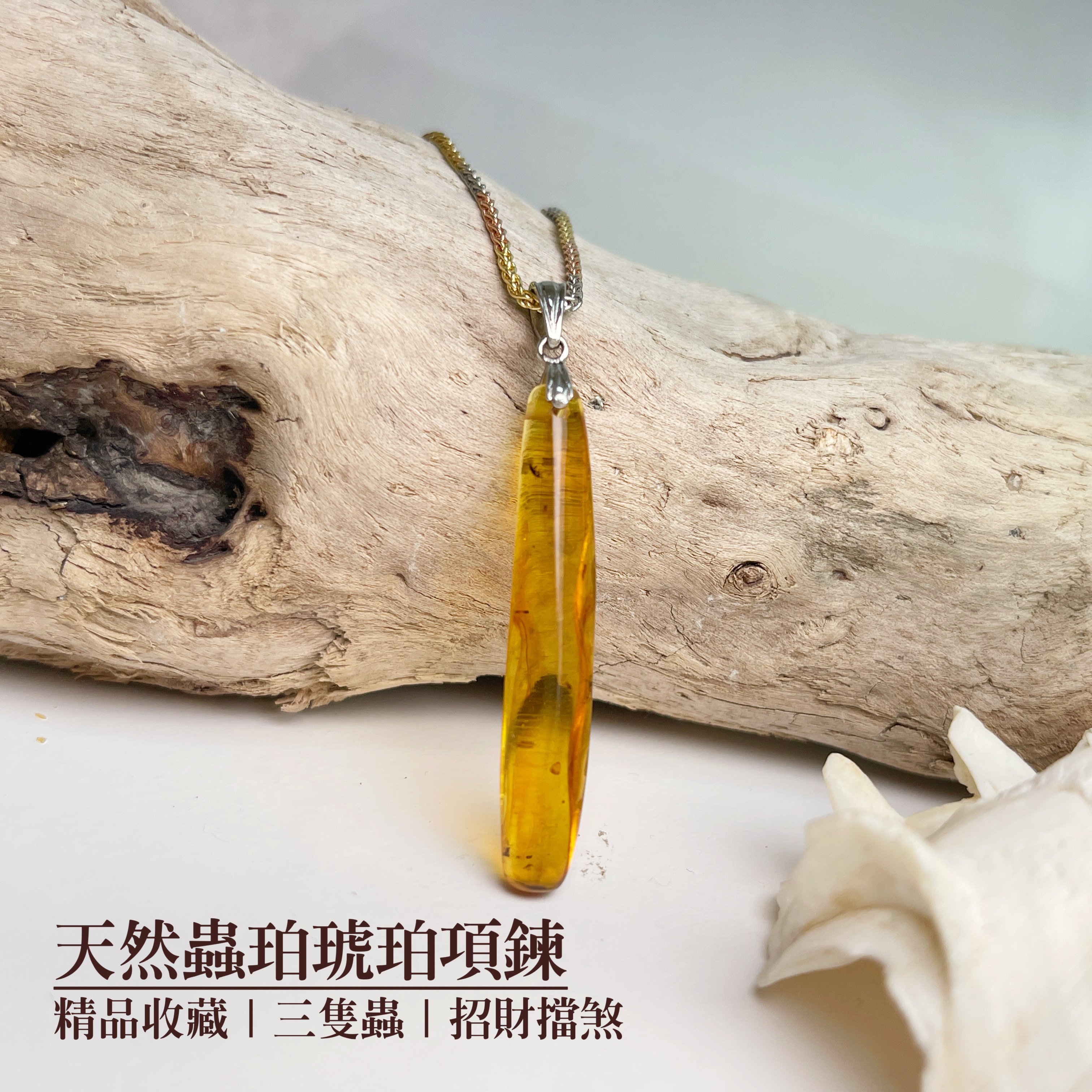 收藏級-《天然蟲珀琥珀項鍊》