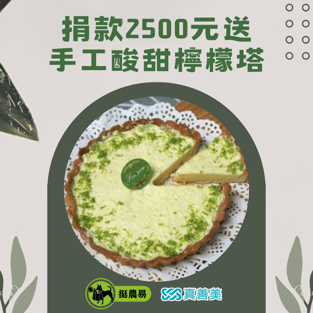 【挺農易】手工酸甜檸檬塔