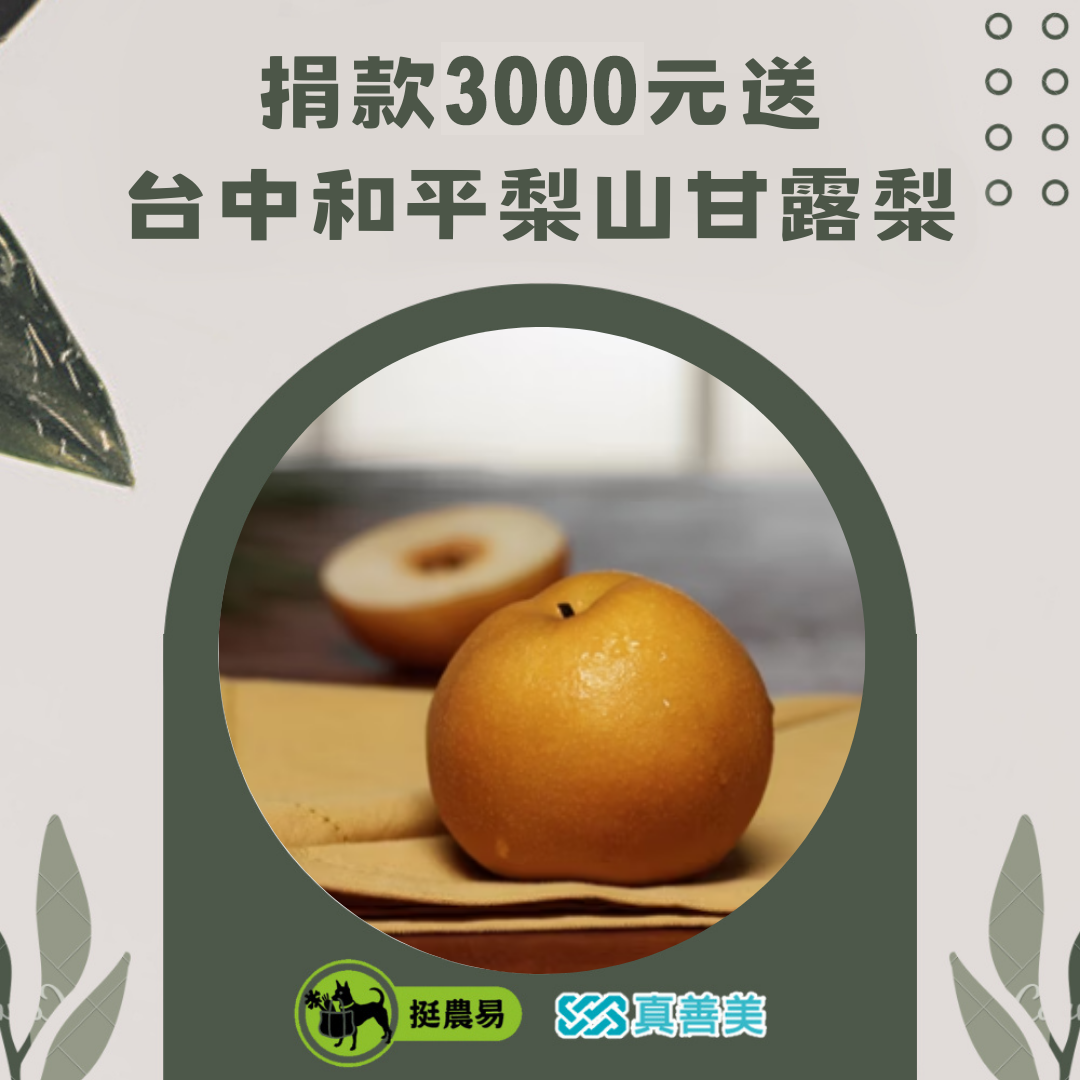 【挺農易】台中和平梨山甘露梨
