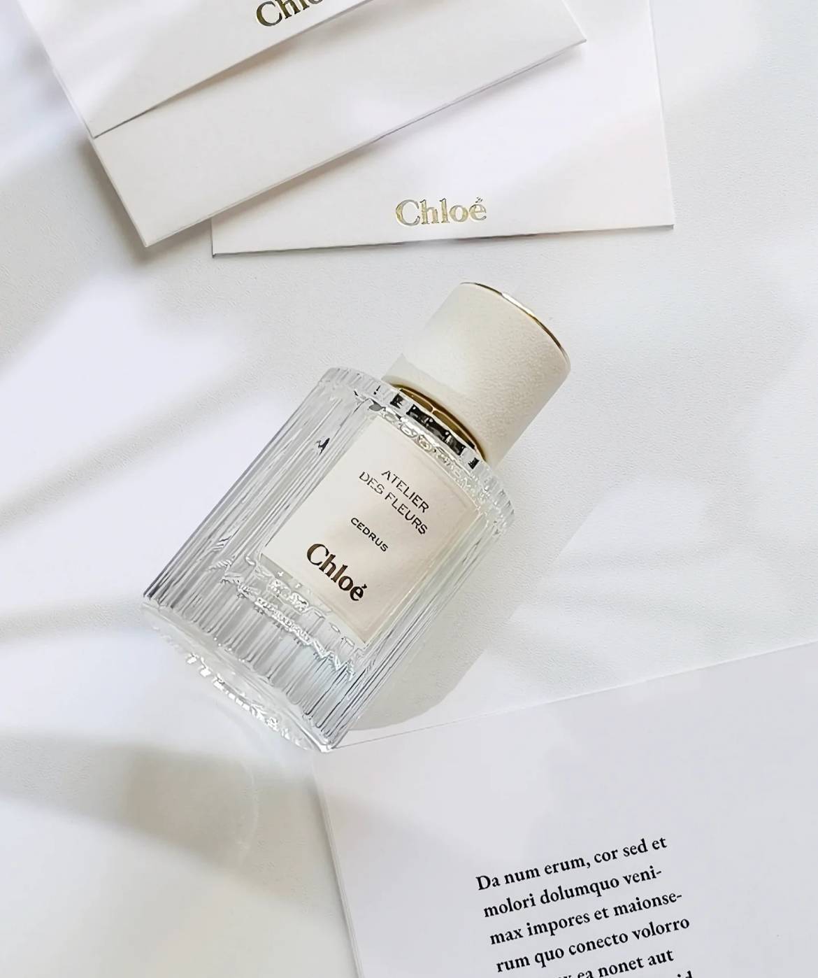 Chloé 仙境花園系列 北國雪松 50ml