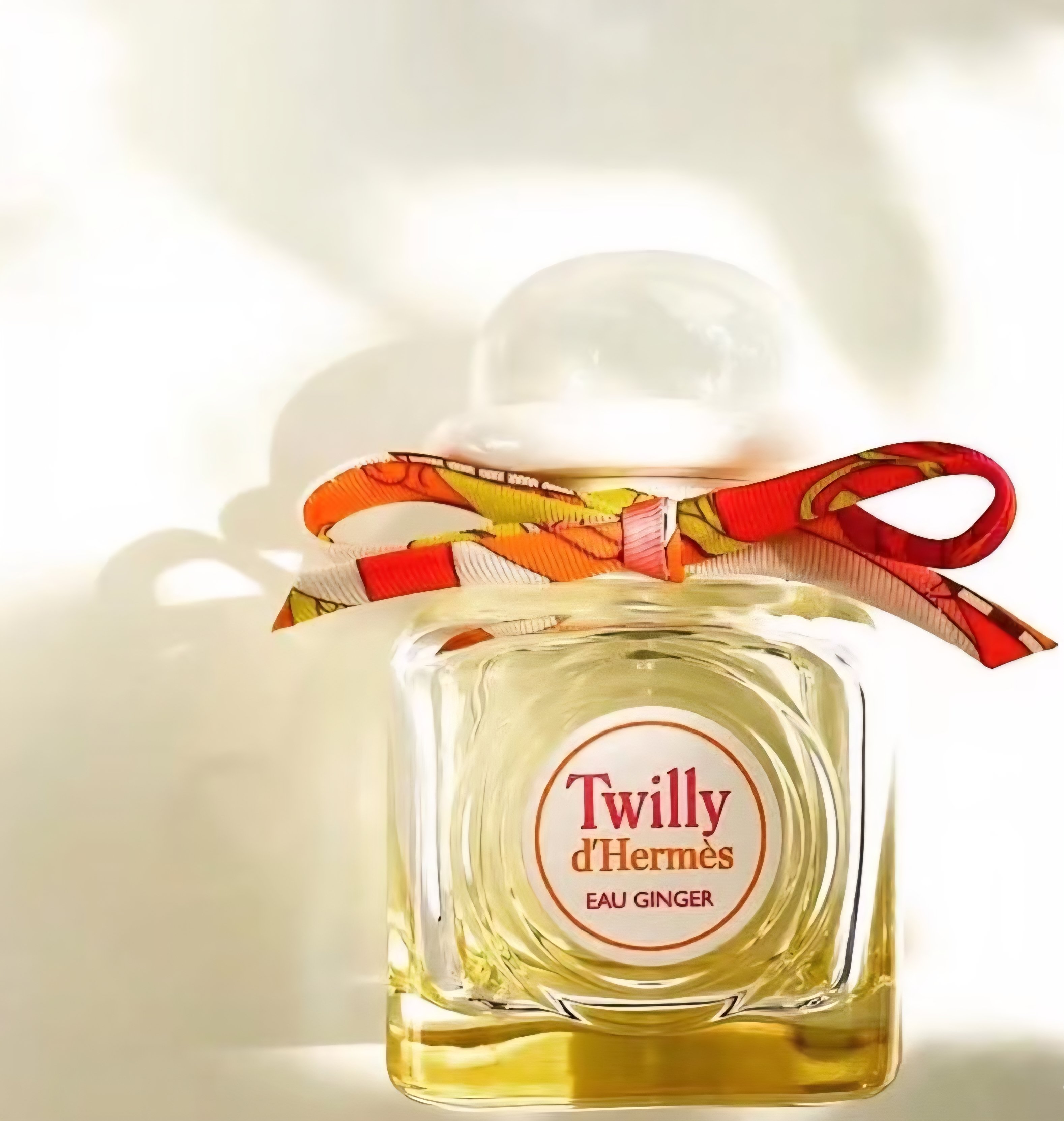Hermes 愛馬仕 Twilly Eau Ginger 絲巾生薑 女性淡香精 白色禮帽瓶蓋款
