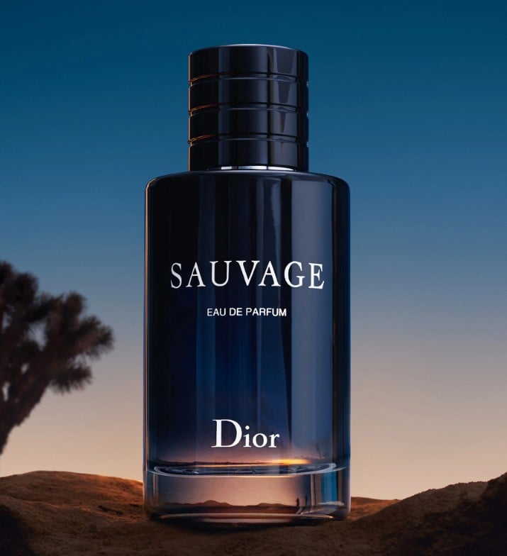 DIOR 曠野之心淡香精 60ML