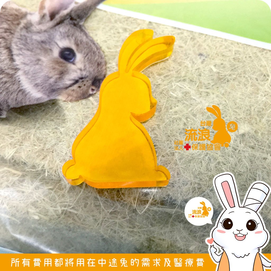 CHIPSI 小動物專用軟踏墊 好忙墊 L