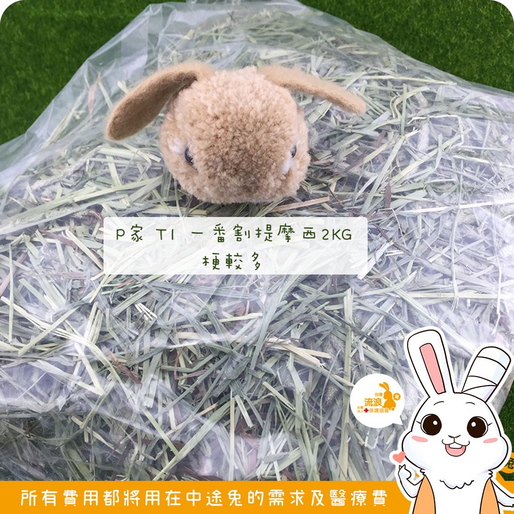 P家牧草 T1 一割提摩西