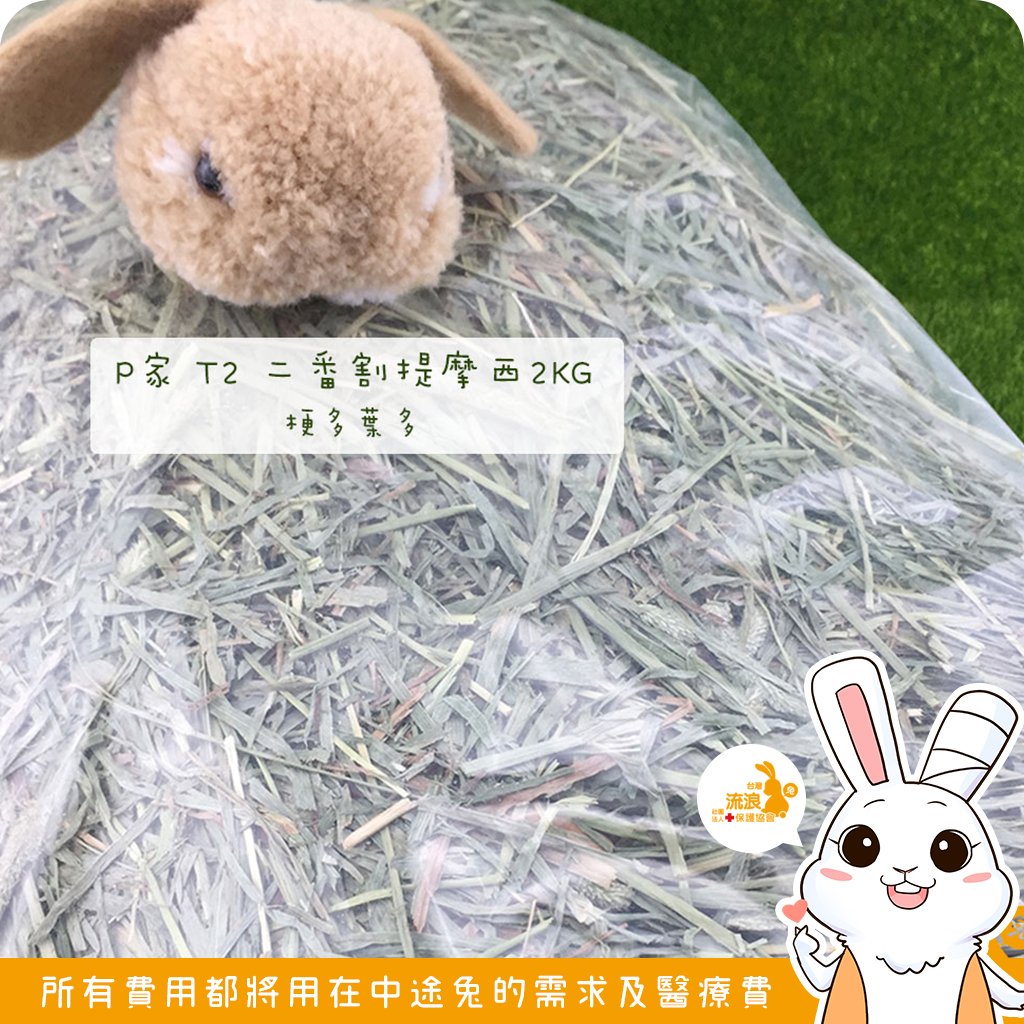 P家牧草 T2 二割提摩西