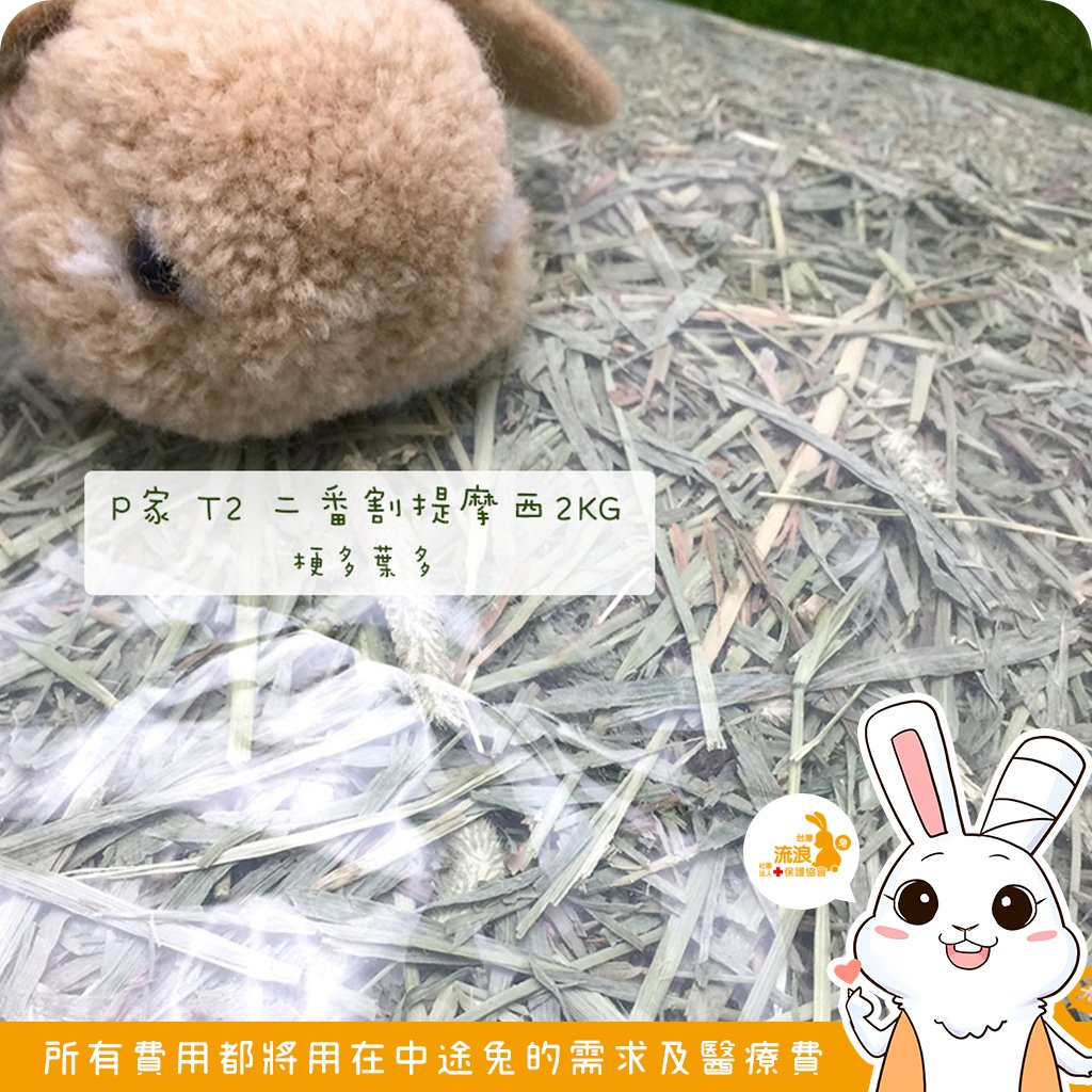 P家牧草 T2 二割提摩西