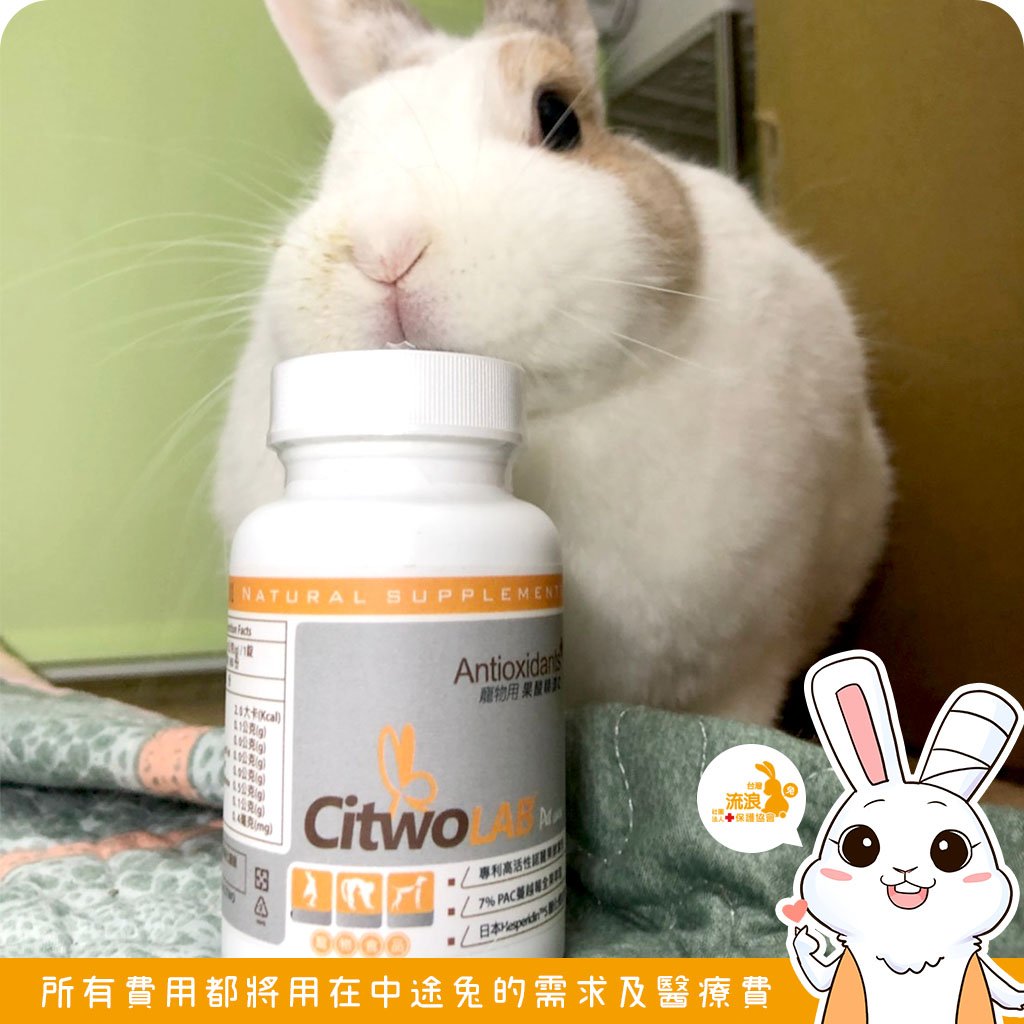 CI兔 Citwo LAB 果酸睛漾C