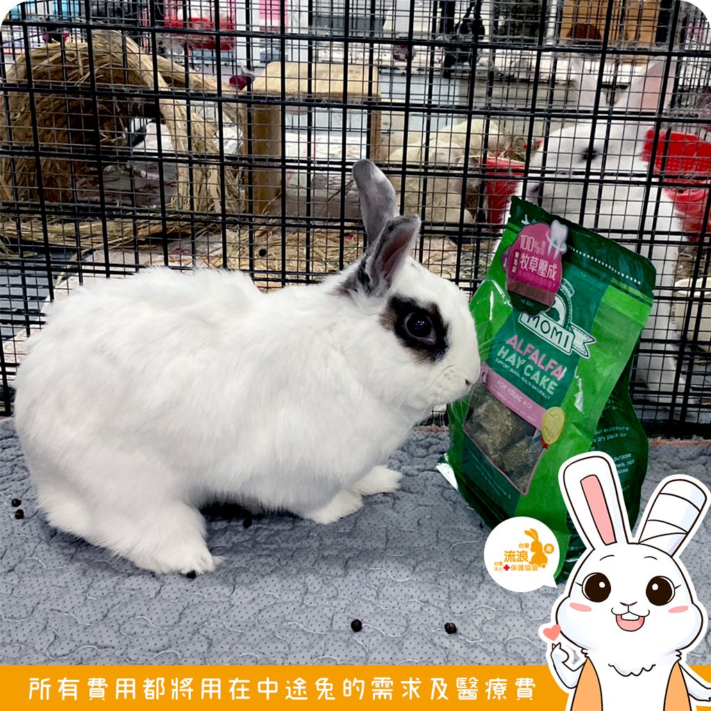 MOMI 提摩西/苜蓿 牧草塊 草磚