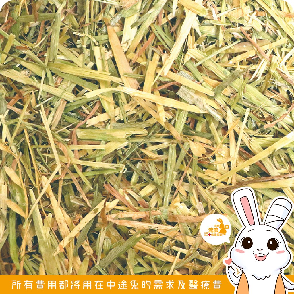 日本WOOLY 澳洲燕麥草(2025版)