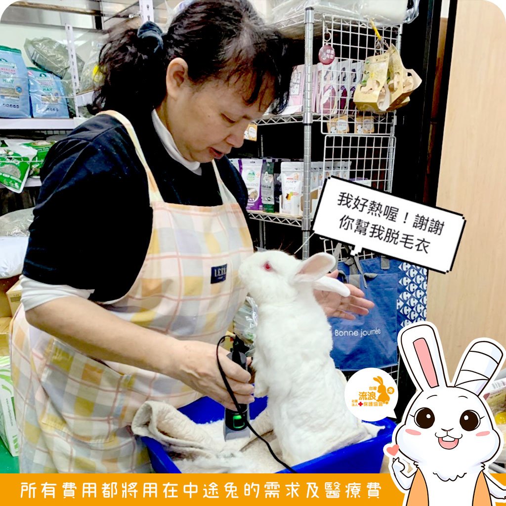 安置中心預約剃毛/剪指甲服務