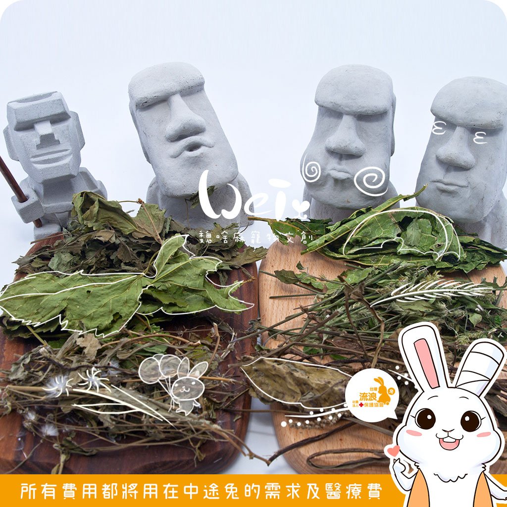 魏啥麻手工零食 - 保健草(乾燥)