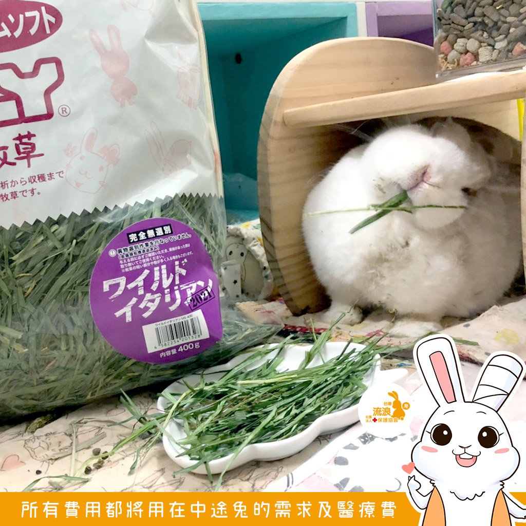 日本WOOLY 高原的義大利黑麥草 幼割 無選別