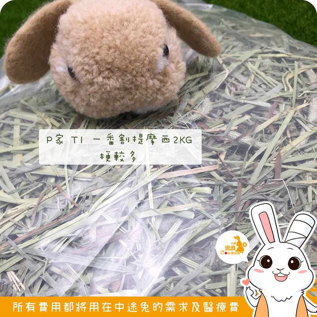 P家牧草 T1 一割提摩西