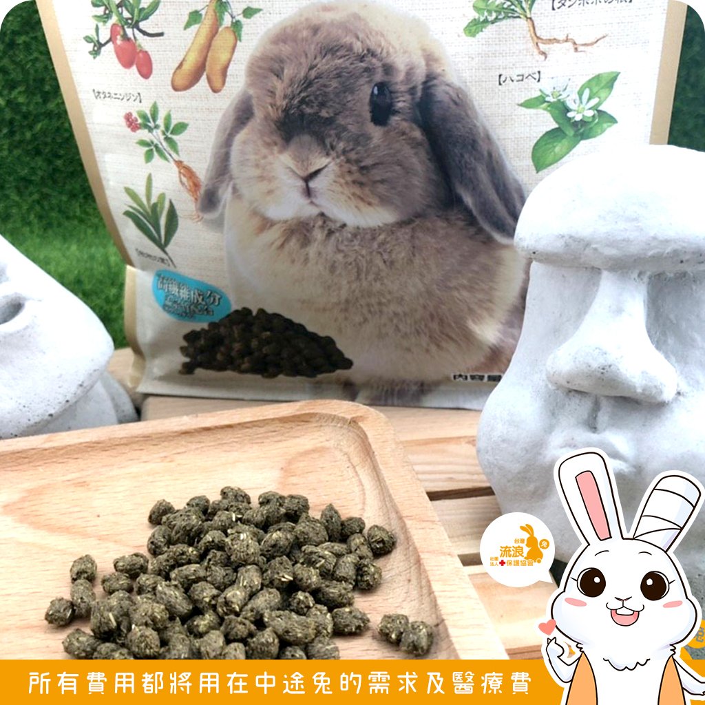 Gex彩食健美肥胖兔