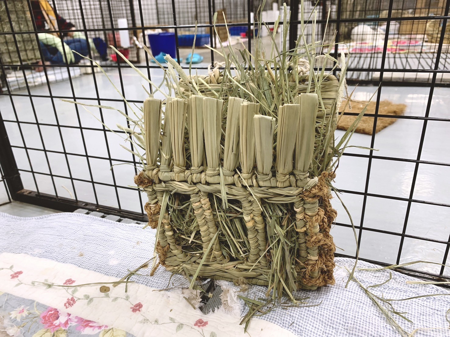 日本 Sumi-CA 提摩西專用牧草架